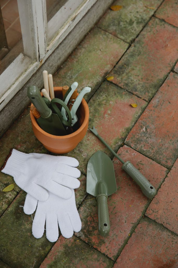 Für den Winterschnitt im Garten benötigst du in jedem Fall gutes Werkzeug.