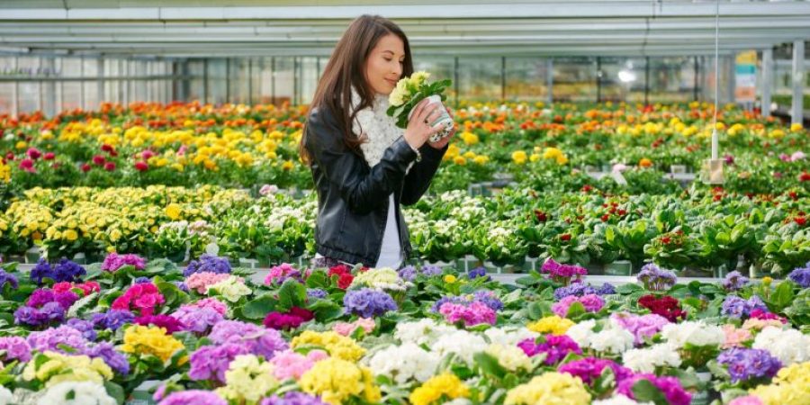 Eine Frau steht zwischen bunten Blumen und riecht an einer Primel